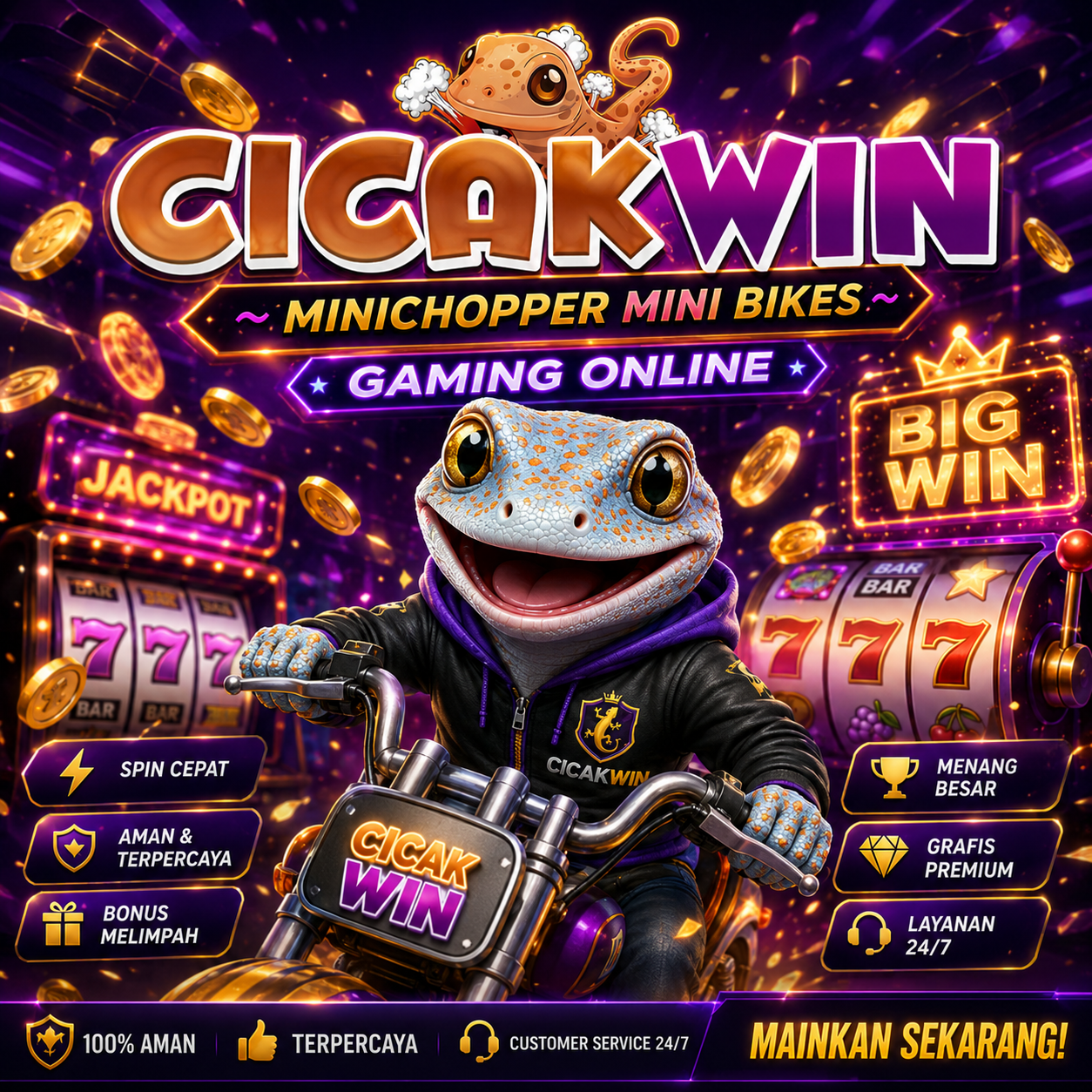CICAKWIN